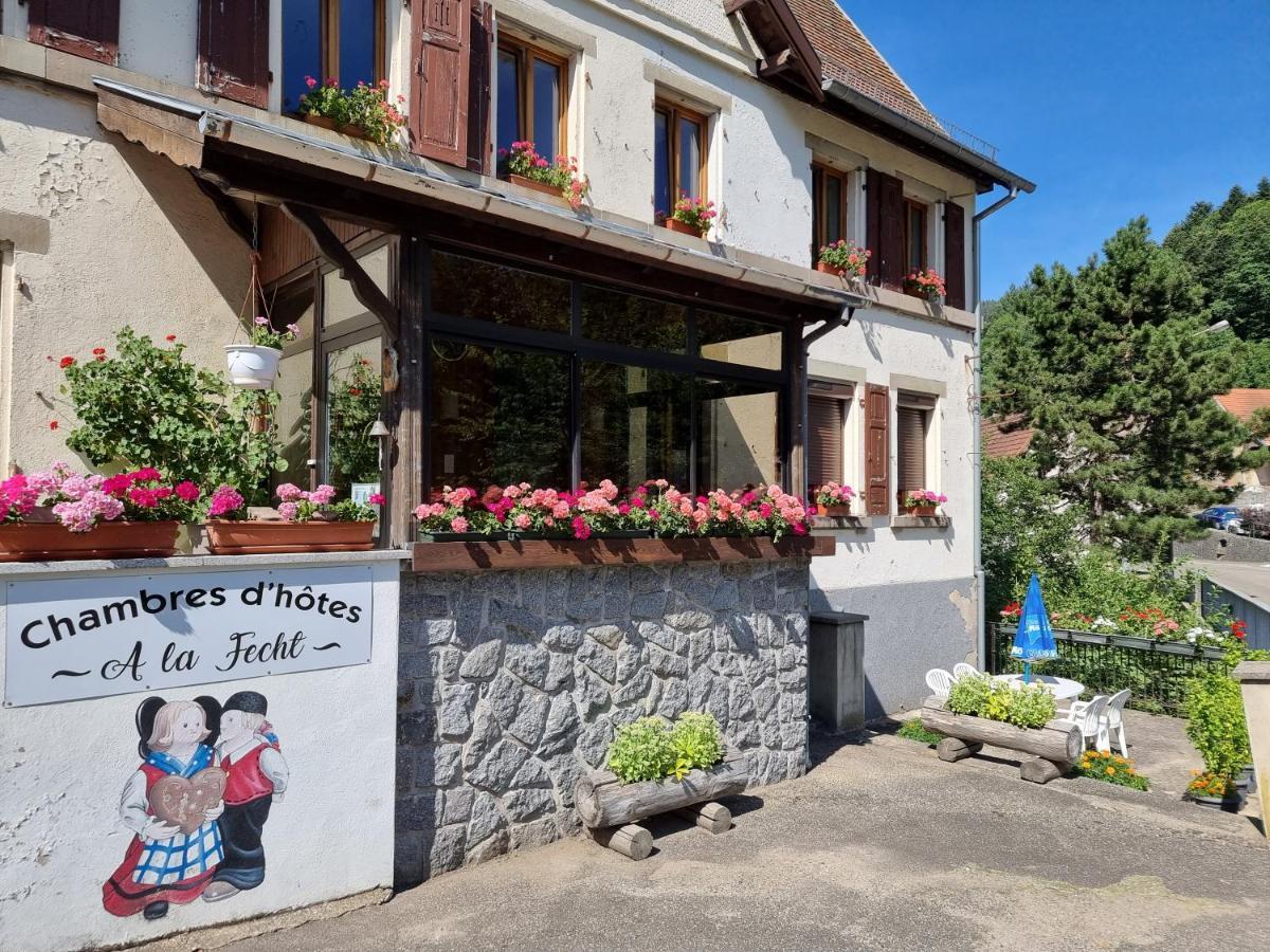Chambres D'Hotes A La Fecht Nature Et Bien-Etre Sondernach Zewnętrze zdjęcie
